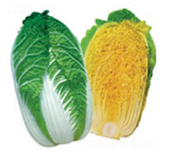 ����-�ײ˷N��-���N