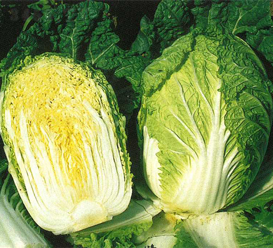 ���-�ײ˷N��-���N