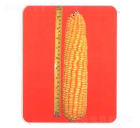 LZ05-���׷N��-���N