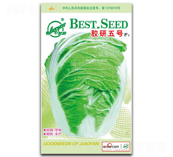 �z����̖F1-�Ĳ��ײ˷N��-�z��