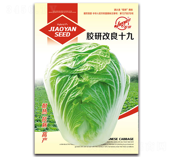 �z�и���ʮ��-�Ĳ��ײ˷N��-�z��