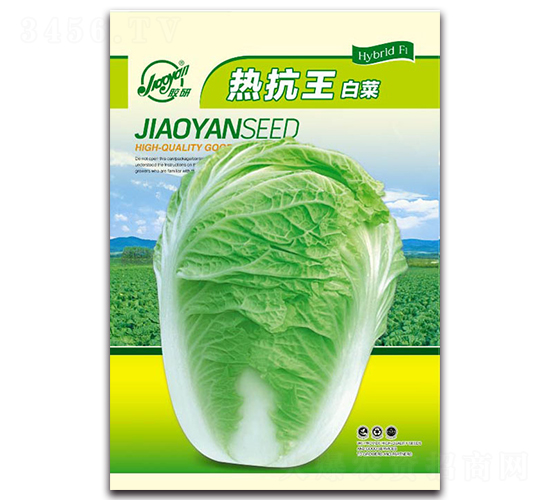 �z�ПΌ��-�Ĳ��ײ˷N��-�z��