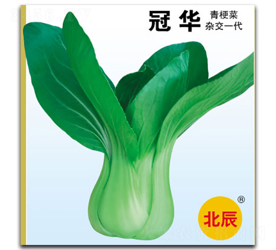 ���A-�๣�˷N��-�����N�I(y��)