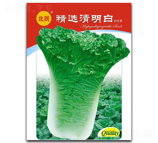 ���x������-�t�ײ˷N��-�����N�I(y��)