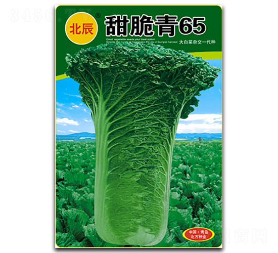 �����65-�t�ײ˷N��-�����N�I(y��)