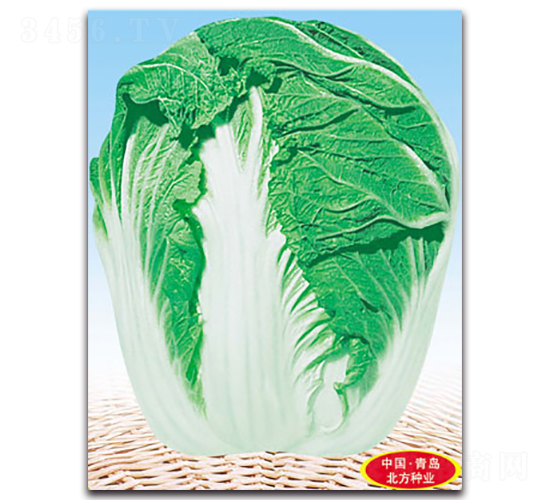 ���(y��ng)��-��ײ˷N��-�����N�I(y��)