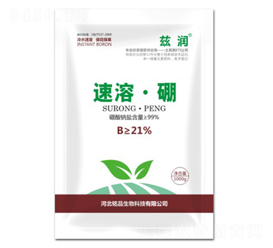 ���ܡ���-�Ʒ����