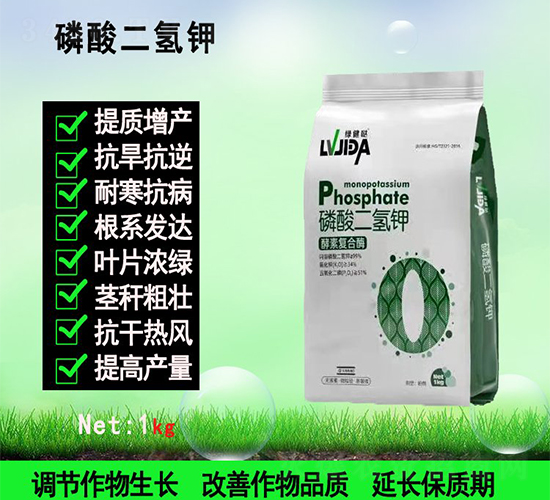 ��������-������