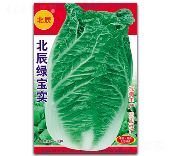 �����G����-��ײ˷N��-�����N�I(y��)