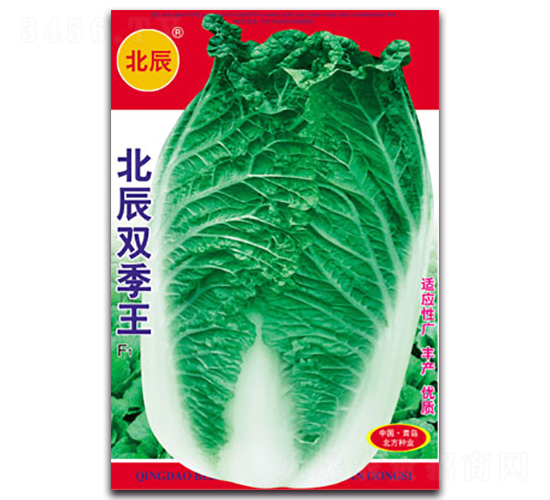 �����p����-��ײ˷N��-�����N�I(y��)