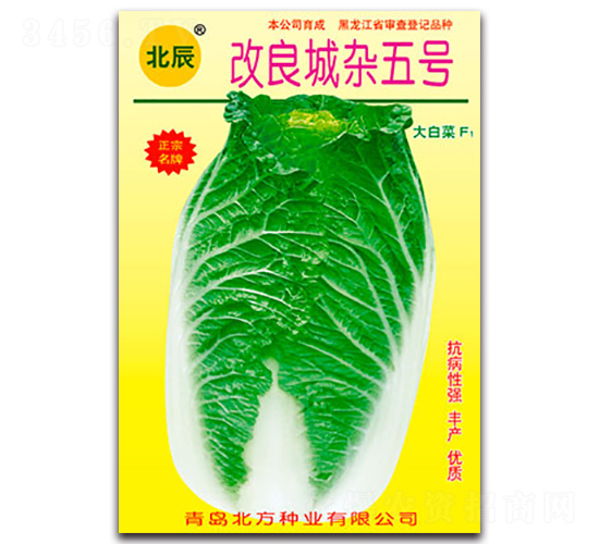 �������s��̖(h��o)-��ײ˷N��-�����N�I(y��)