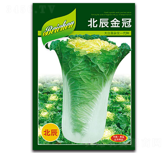 �������-��ײ˷N��-�����N�I(y��)