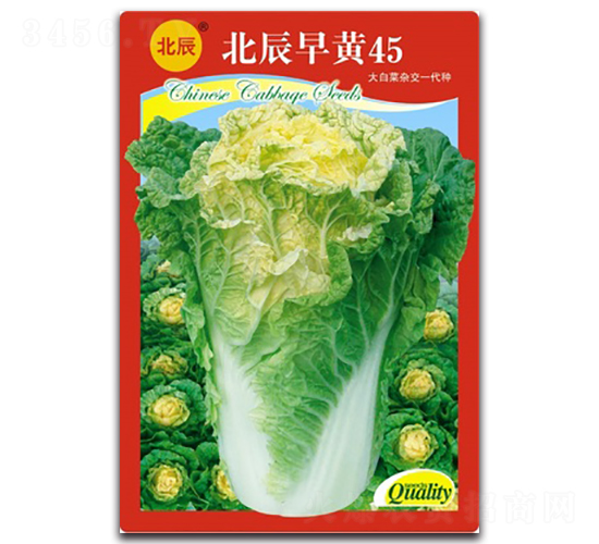 �������S45-��ײ˷N��-�����N�I(y��)