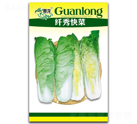 �w����-��˷N��-�����N�I(y��)