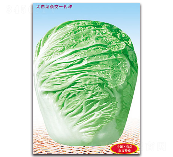 �����ĕ�-��ײ˷N��-�����N�I(y��)