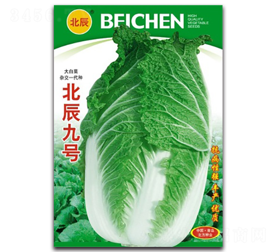 ������̖-��ײ˷N��-�����N�I(y��)