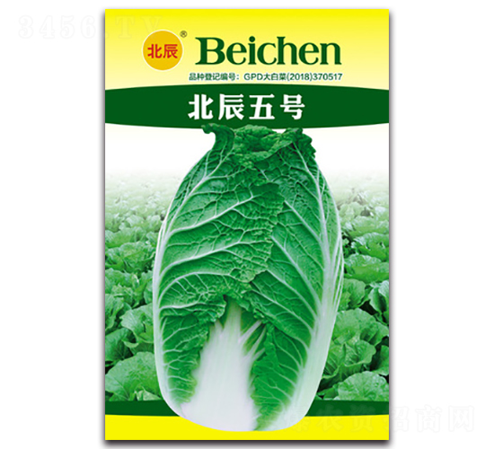 ������̖-��ײ˷N��-�����N�I(y��)