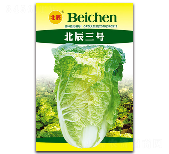 ������̖-��ײ˷N��-�����N�I(y��)