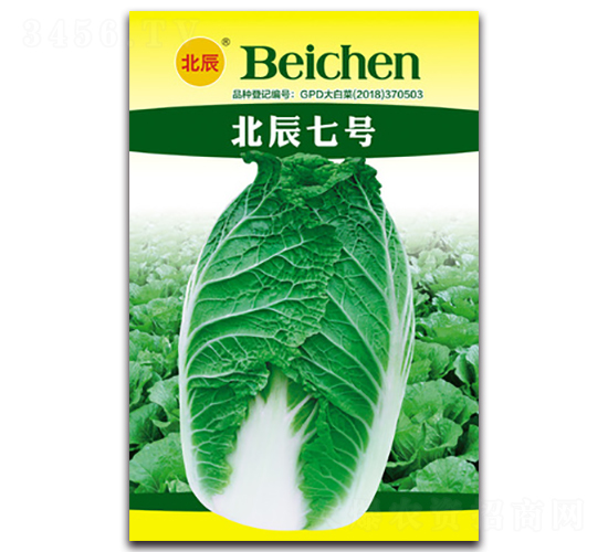 ������̖-��ײ˷N��-�����N�I(y��)