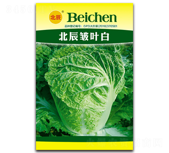 �������~��-��ײ˷N��-�����N�I(y��)