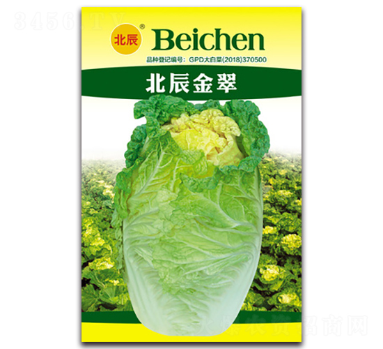 �������-��ײ˷N��-�����N�I(y��)