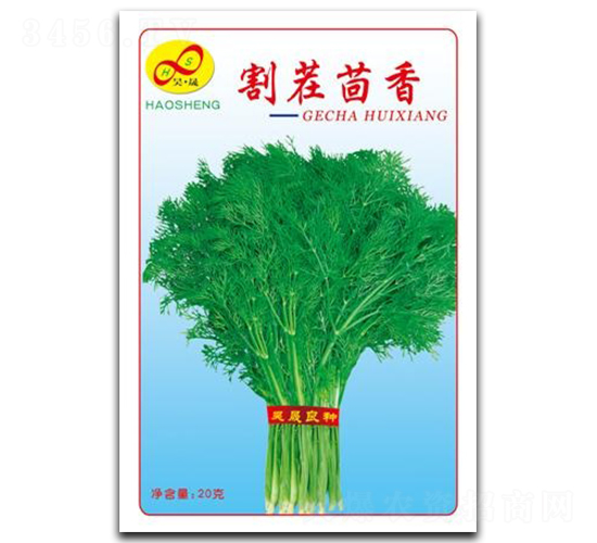 �������-����N��-��ɷN�I(y��)