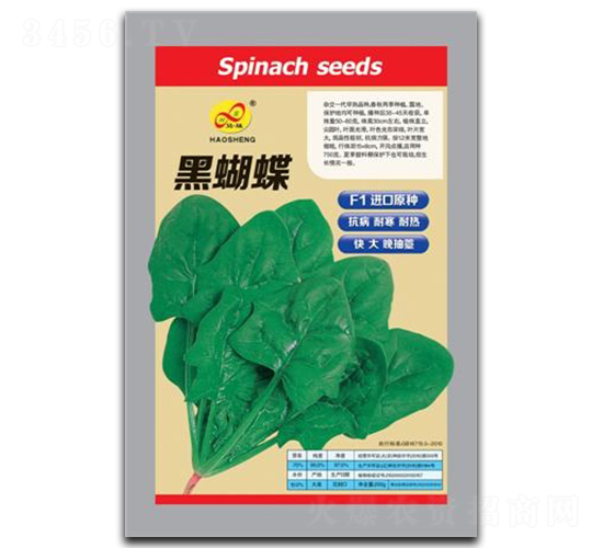 �ں���-���˷N��-��ɷN�I(y��)