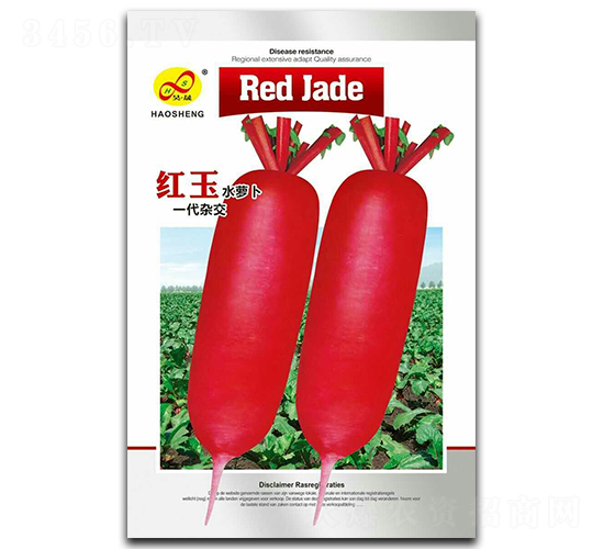 �t��-�}���N��-��ɷN�I(y��)