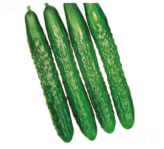 ��������-�S�ϷN��-�����r(n��ng)�I(y��)