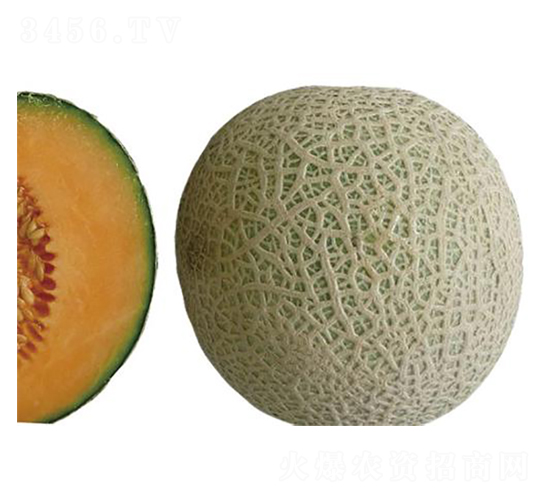 ���003-��ϷN��-�����r(n��ng)�I(y��)