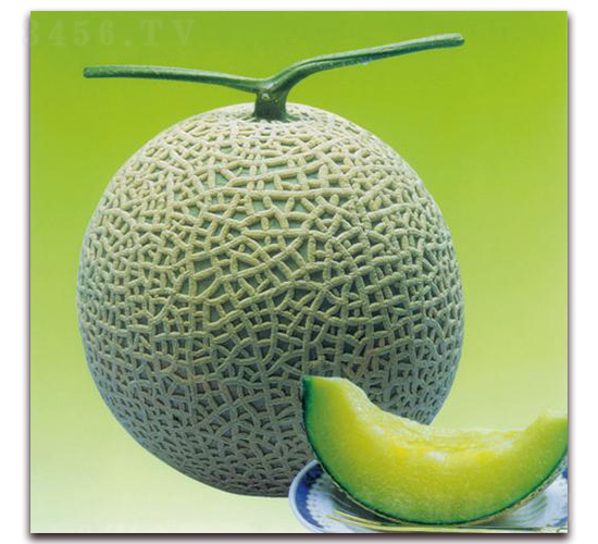 ����˹�ﶬϵ-��ϷN��-�����r(n��ng)�I(y��)