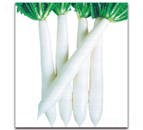 �L��ɽ-�}���N��-�����r(n��ng)�I(y��)