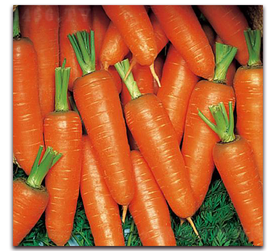 �º���������ϵ-���}���N��-�����r�I(y��)