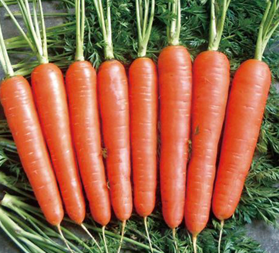 ̩ɽ��̖(h��o)-���}���N��-�����r(n��ng)�I(y��)