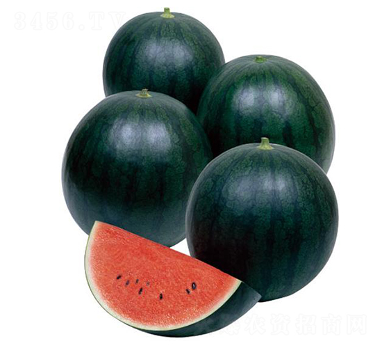 ��ͯ-���ϷN��-�����r(n��ng)�I(y��)