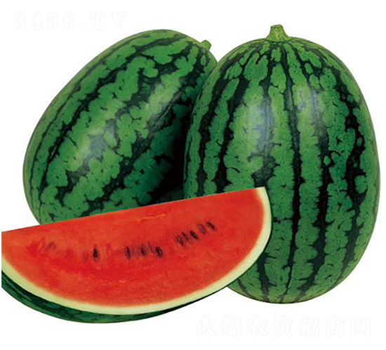 ȫ��2K-���ϷN��-�����r(n��ng)�I(y��)