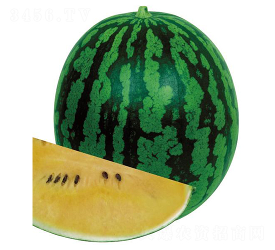 ����4000-���ϷN��-�����r�I(y��)