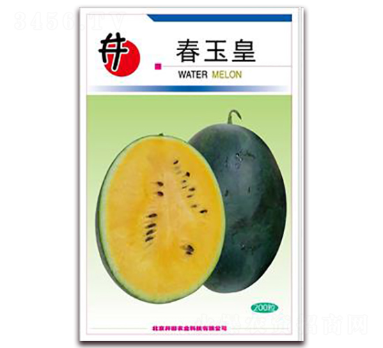 �����-���ϷN��-�����r�I(y��)