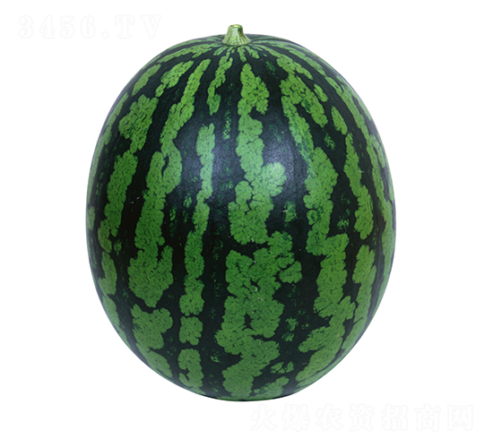 4K-���ϷN��-�����r(n��ng)�I(y��)