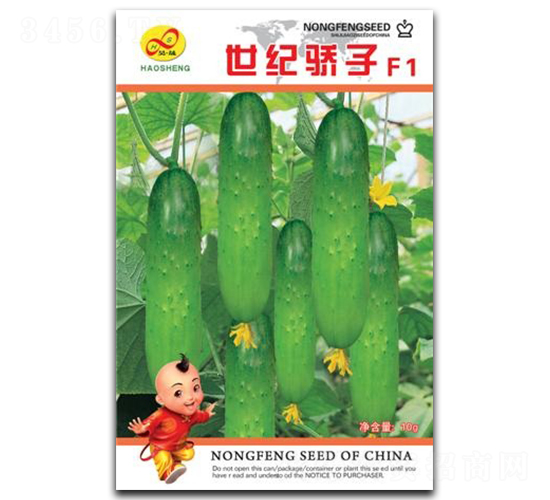 ���o(j��)���-�S�ϷN��-��ɷN�I(y��)