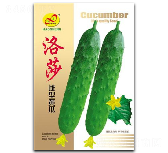 ��ɯ-�S�ϷN��-��ɷN�I(y��)