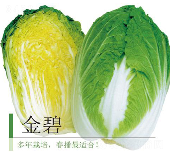 ���-�ײ˷N��-�����r(n��ng)�I(y��)