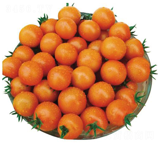 ����30-���ѷN��-�����r(n��ng)�I(y��)