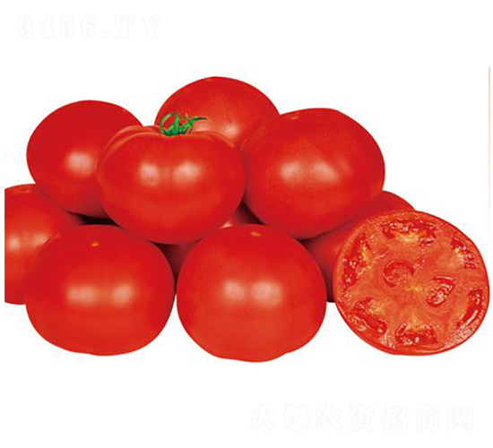 �t�۟o(w��)��-���ѷN��-�����r(n��ng)�I(y��)