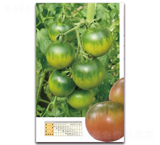 ���x101-���ѷN��-�����r(n��ng)�I(y��)