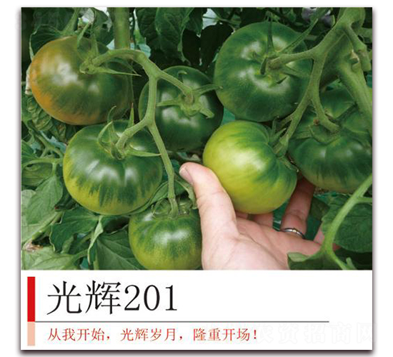 ���x201-���ѷN��-�����r(n��ng)�I(y��)