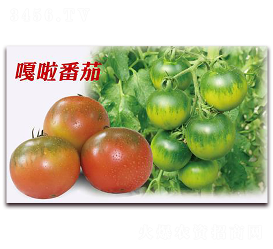 ��������-���ѷN��-�����r(n��ng)�I(y��)