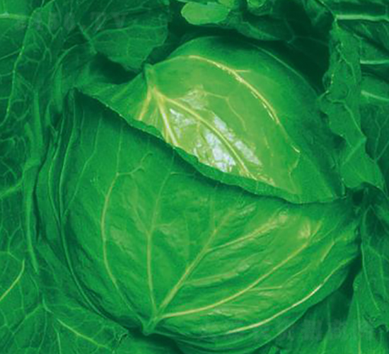 �O�纮��-���{(l��n)�N��-�����r(n��ng)�I(y��)