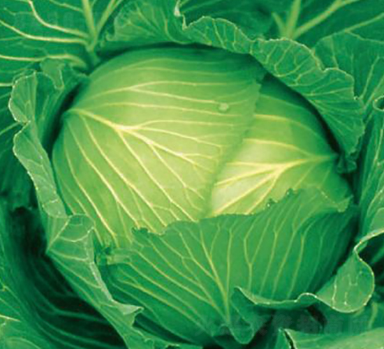 ����120-���{(l��n)�N��-�����r(n��ng)�I(y��)