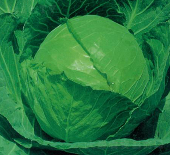 ����60-���{�N��-�����r(n��ng)�I(y��)